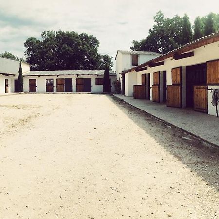 Maison Au Milieu Des Chevaux LʼIsle-sur-la-Sorgue Extérieur photo