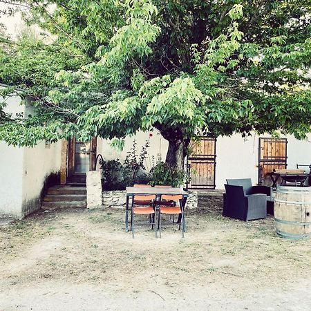 Maison Au Milieu Des Chevaux LʼIsle-sur-la-Sorgue Extérieur photo